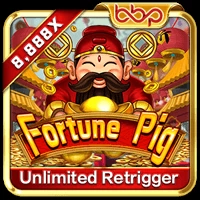 Fortune Pig