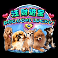 Doggone Lucky