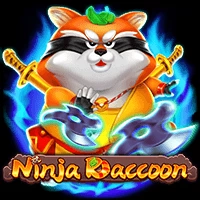 Ninja Raccoon