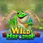 Wild Hop & Drop