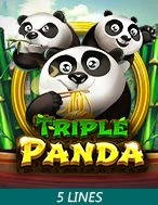 Triple Panda